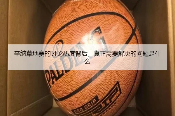 辛纳草地赛的讨论热度背后，真正需要解决的问题是什么